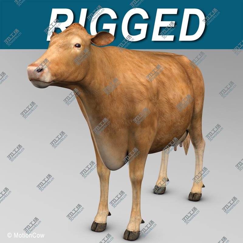 images/goods_img/202104022/Cow Limousin/2.jpg